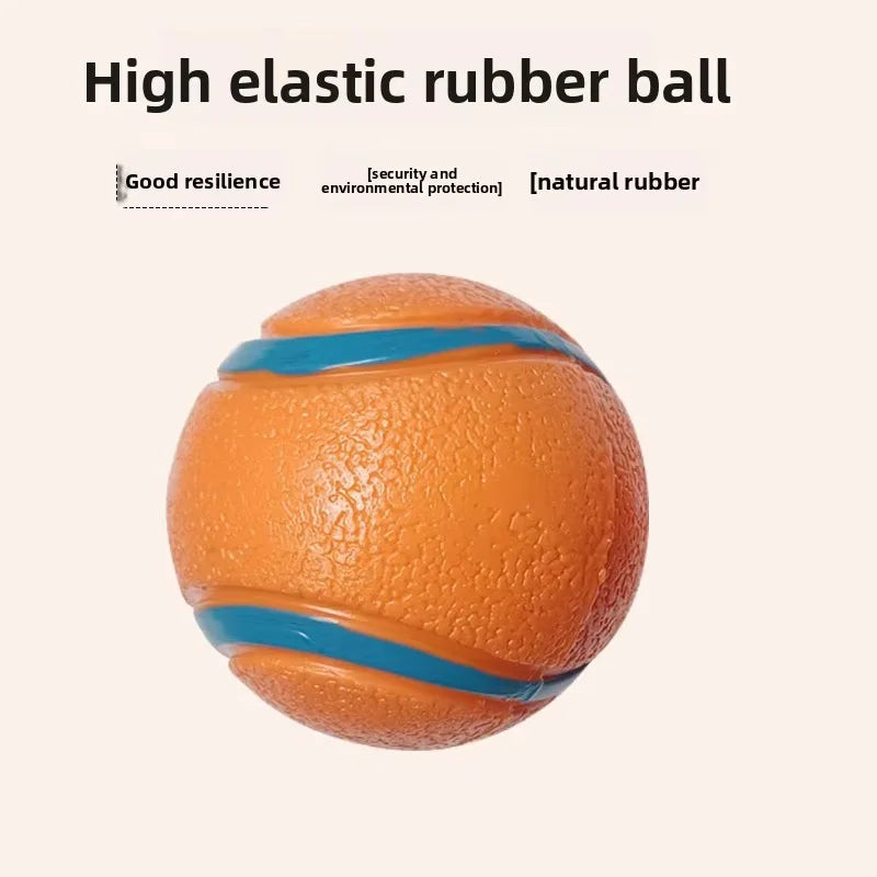 Durable Squeaky Chew Resistant Chasing Toy