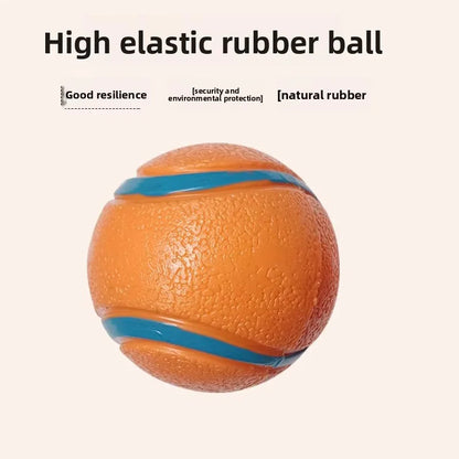 Durable Squeaky Chew Resistant Chasing Toy