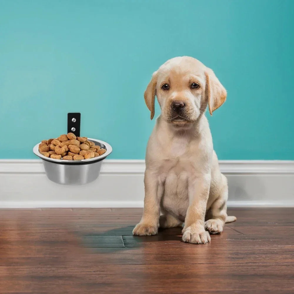 Wall Mounted Dog Bowl