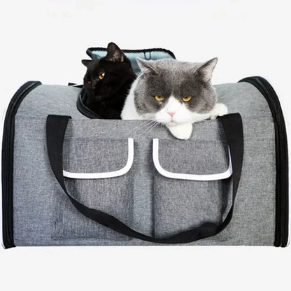 Big Space Foldable Pet Carrier Backpack