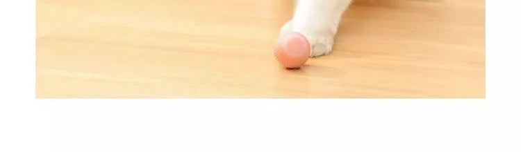Automatic Indoor Cat Toy