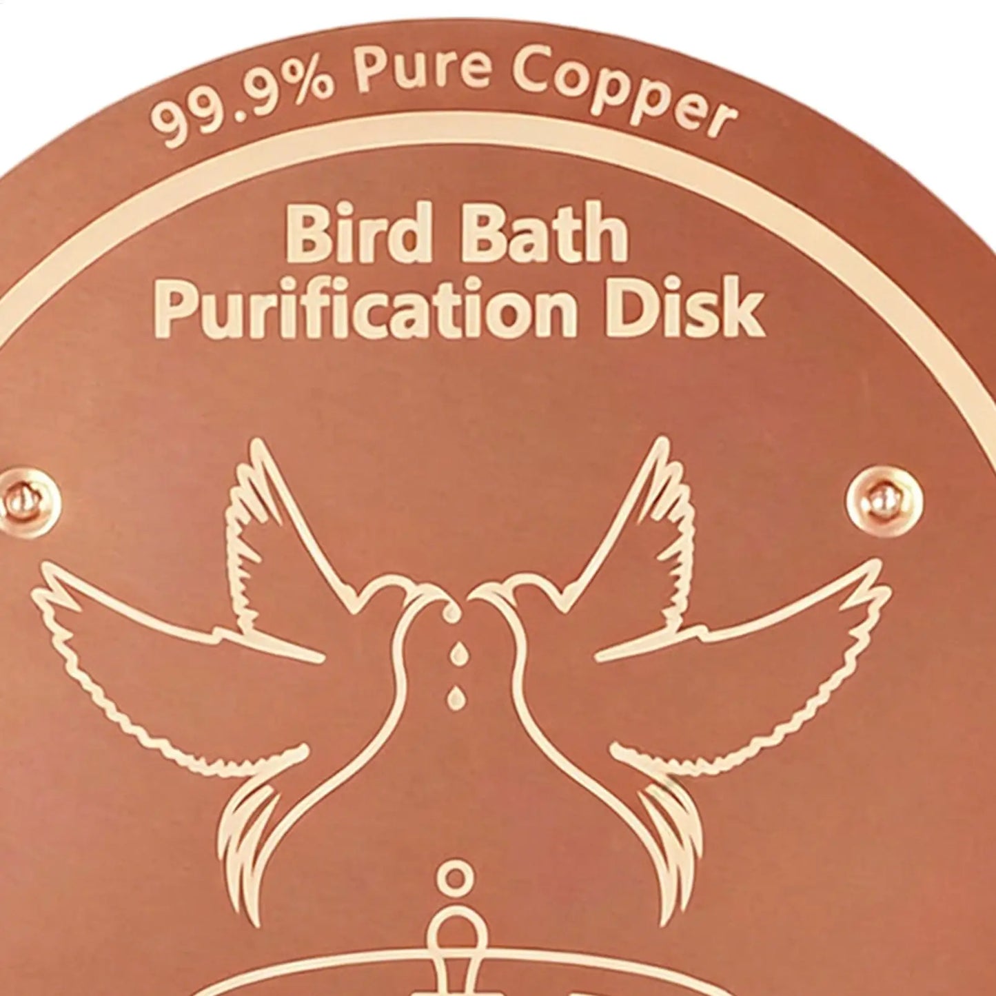 Bird Bath Copper Disk