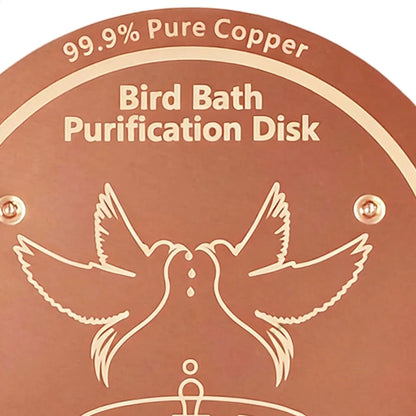 Bird Bath Copper Disk