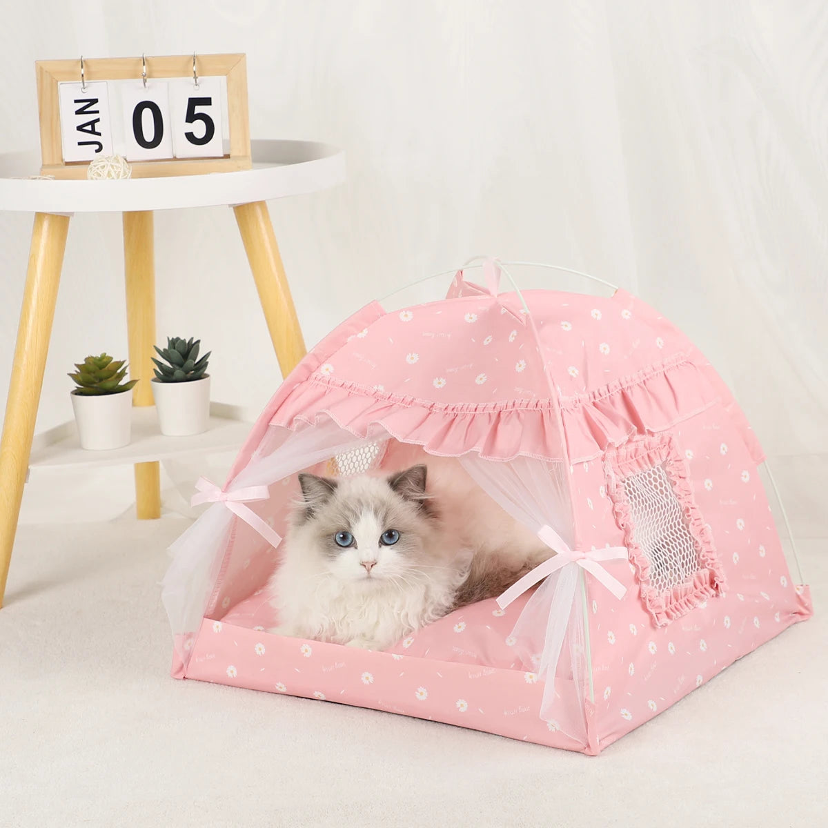 Tent Bed Cats