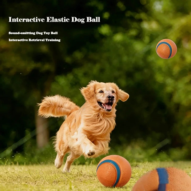 Durable Squeaky Chew Resistant Chasing Toy