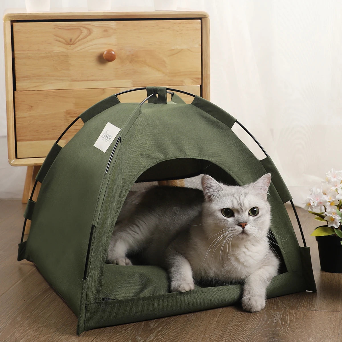 Tent Bed Cats