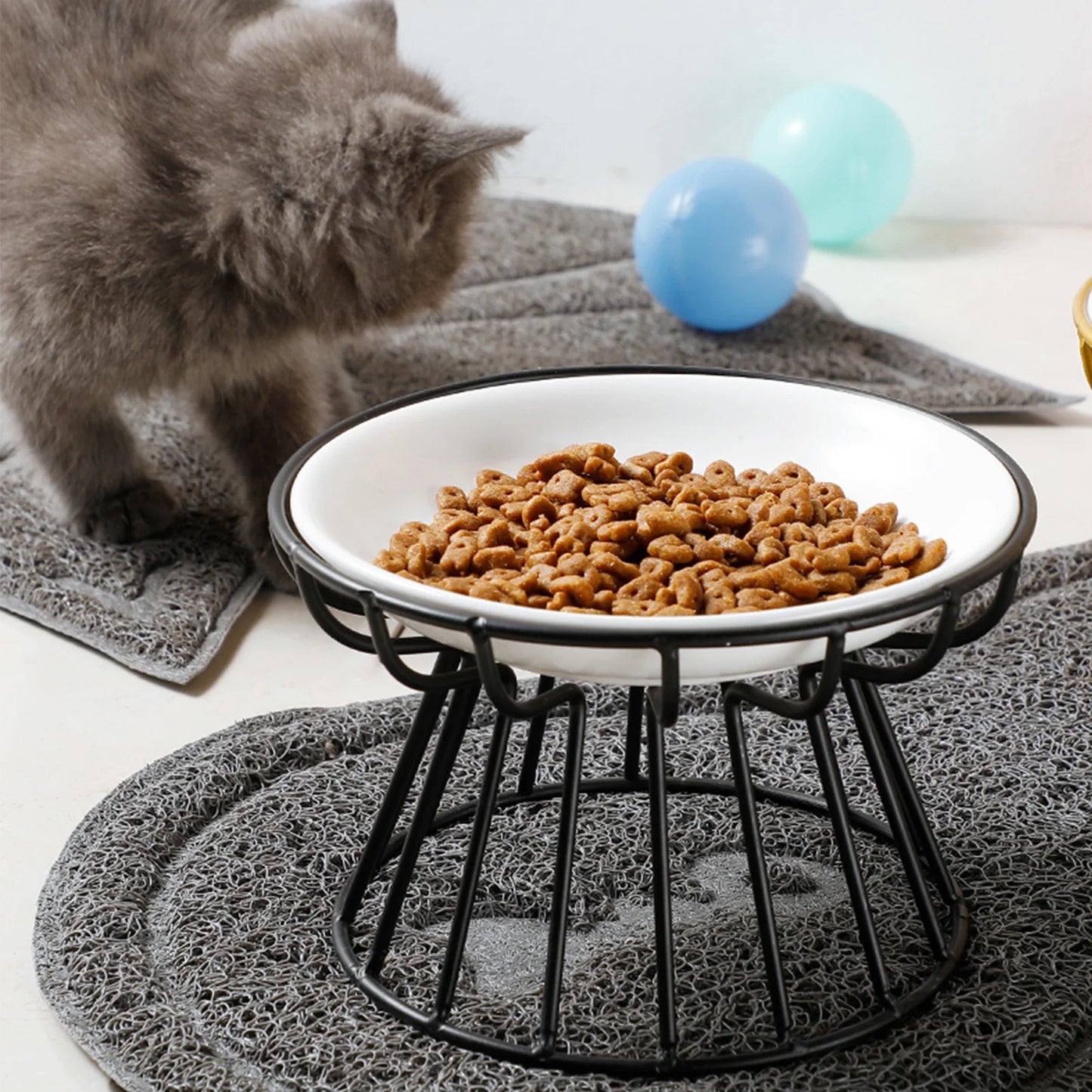 Food Water Bowls with Rack for Cats