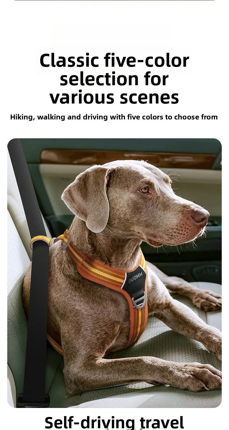 Dog Harness with Dual Handle
