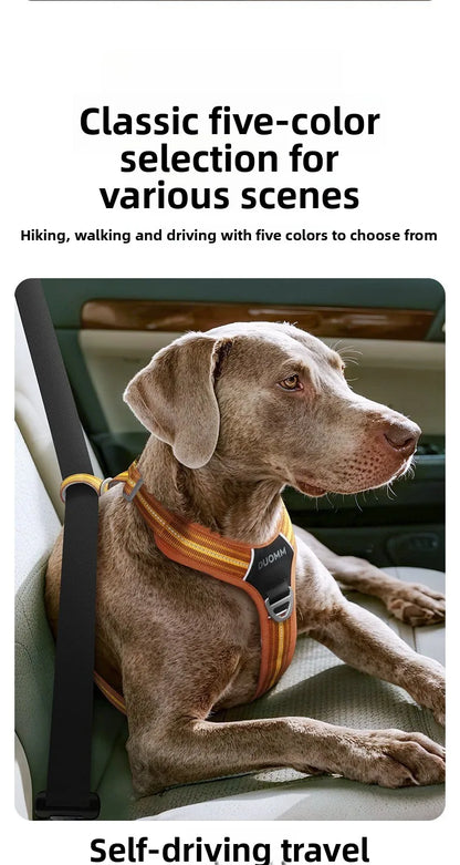 Dog Harness with Dual Handle