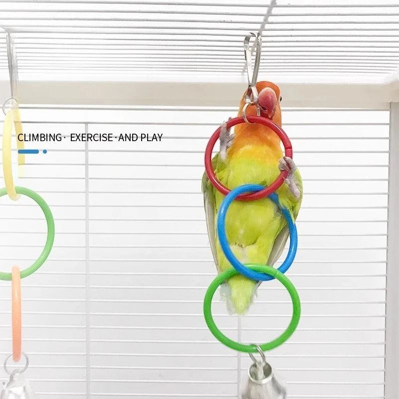 Colorful Ring Birds Use Gnawing Toy