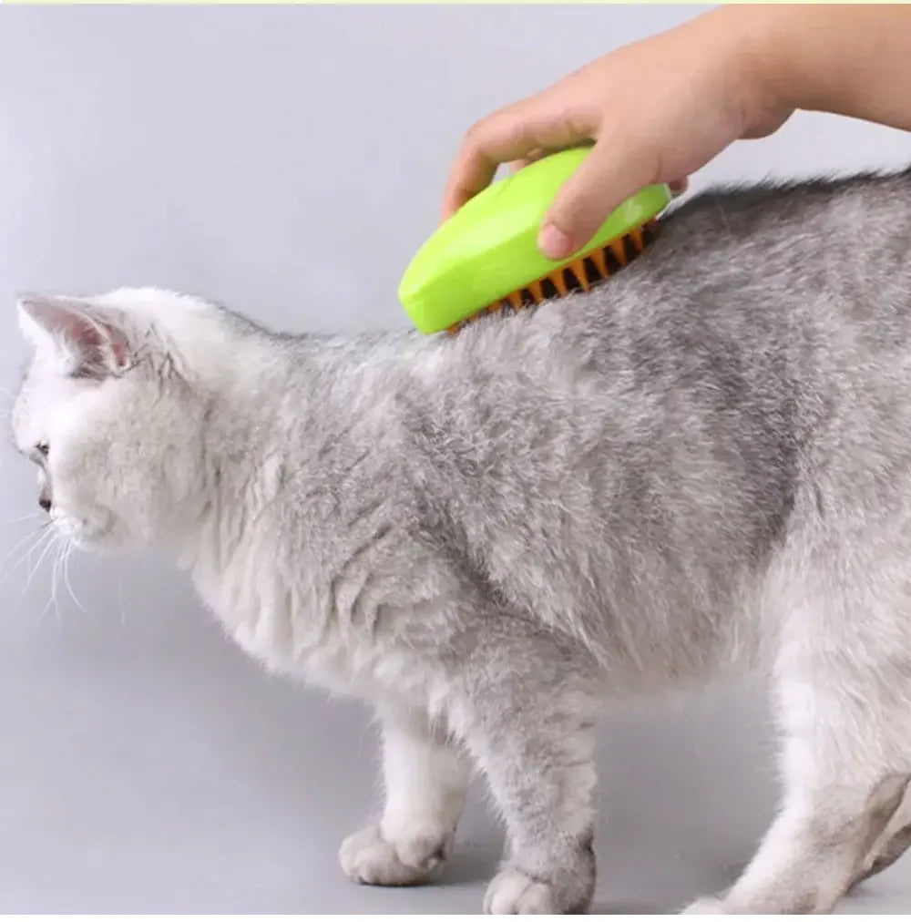 Steam Brush Electric Sprayer for Massage