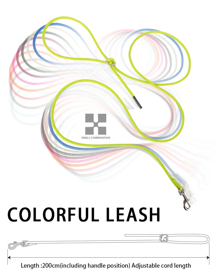 Dog Harness Leash Set