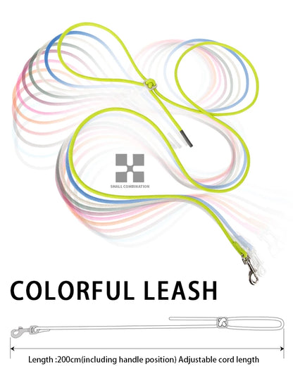 Dog Harness Leash Set