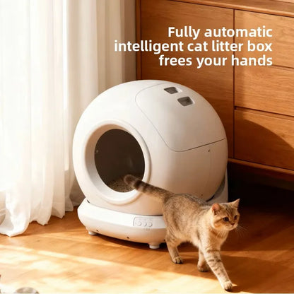 Self Cleaning Cat Litter Box