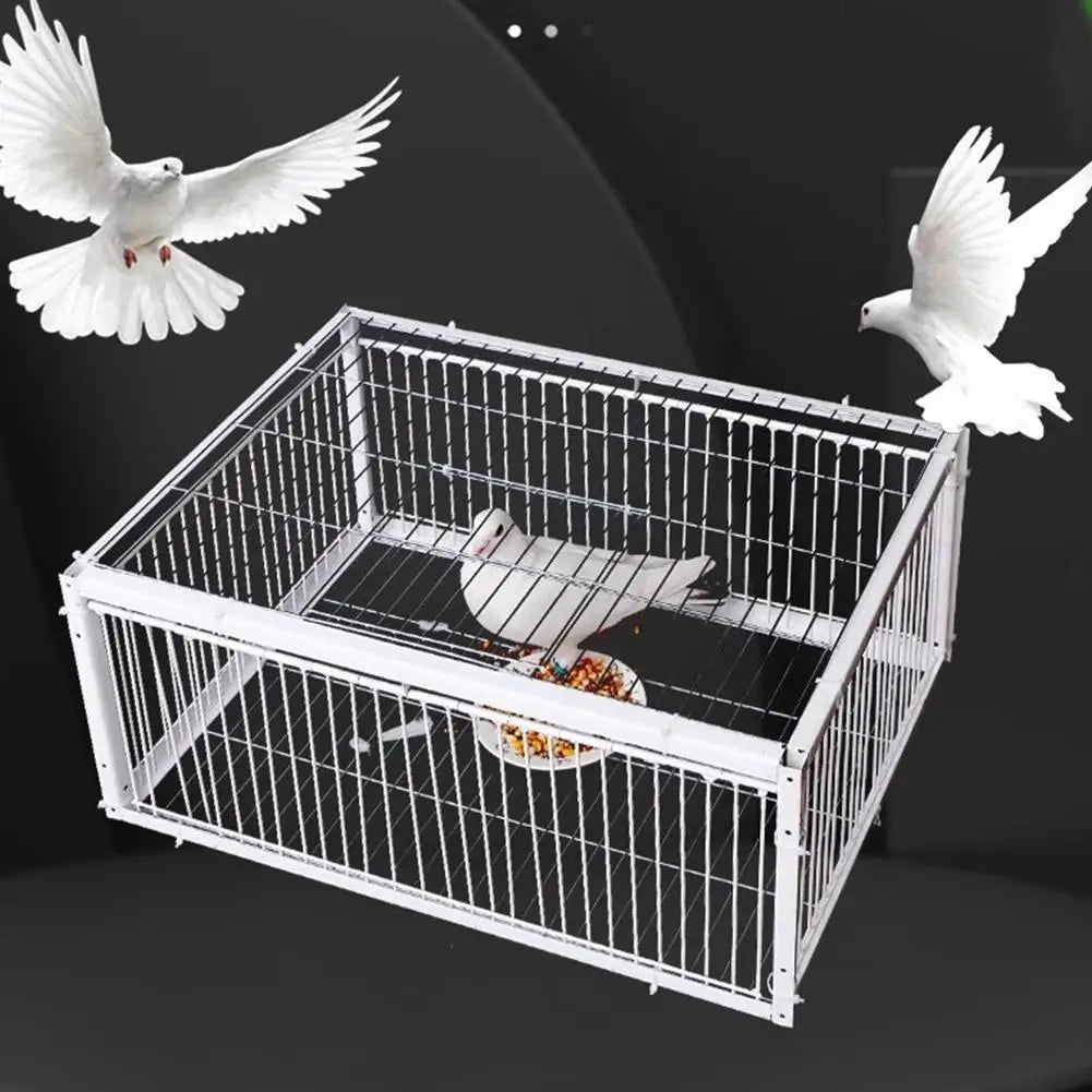 Auto Trap Bird Cage