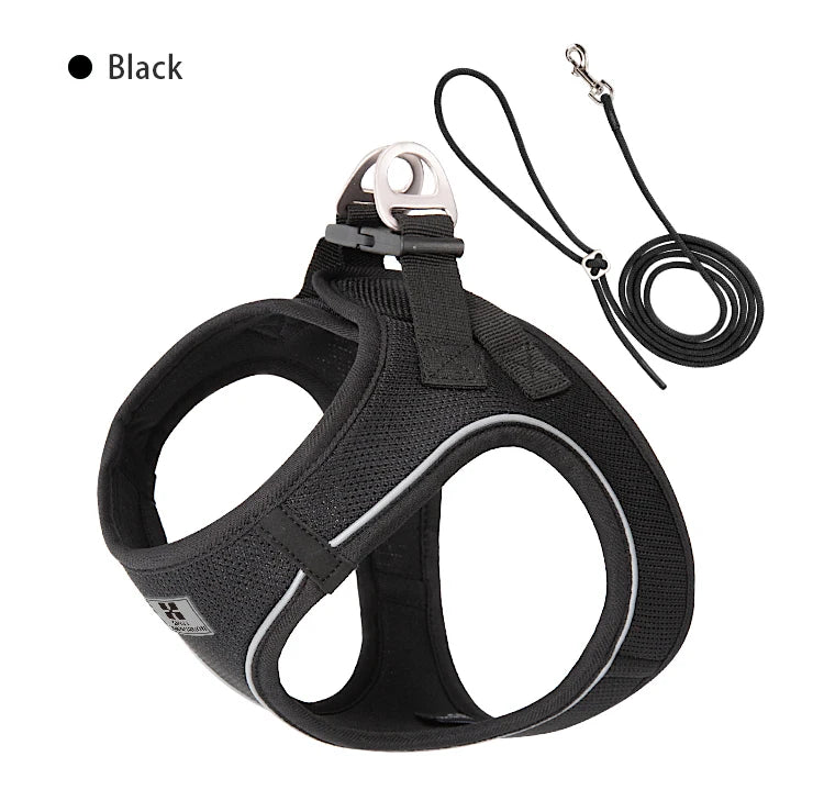 Dog Harness Leash Set