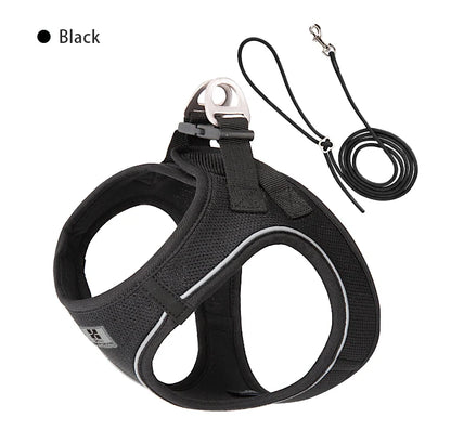 Dog Harness Leash Set