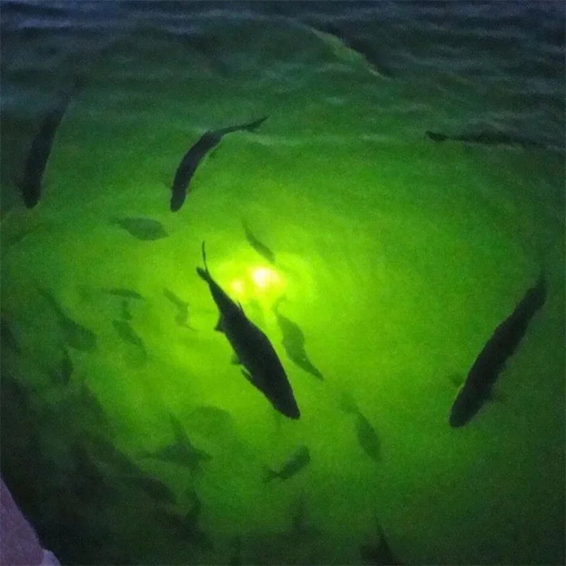 Waterproof High-Power Fish Underwater White Lure Light