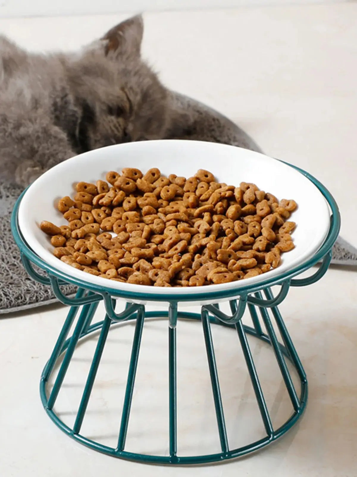 Food Water Bowls with Rack for Cats