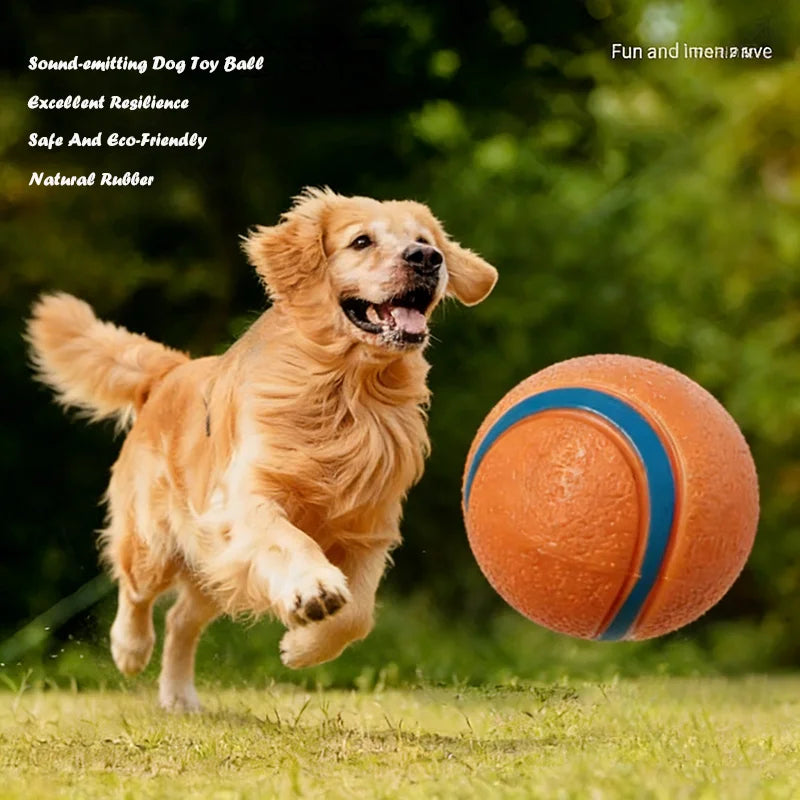 Durable Squeaky Chew Resistant Chasing Toy