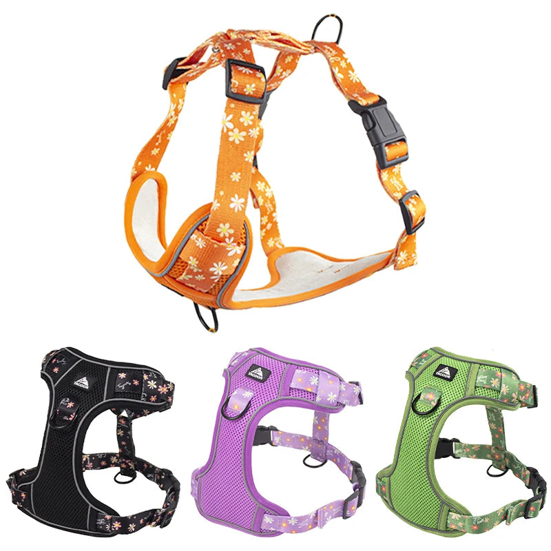 Big Dog Harness Reflective