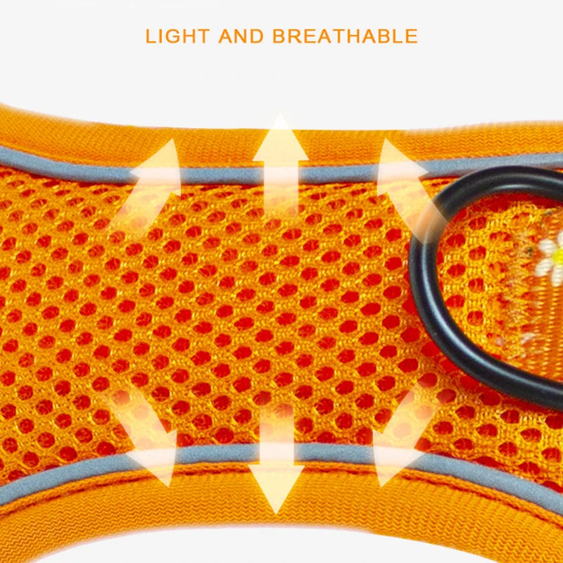 Big Dog Harness Reflective