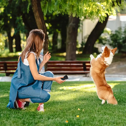 Ultrasonic Dog Bark Control Deterrent