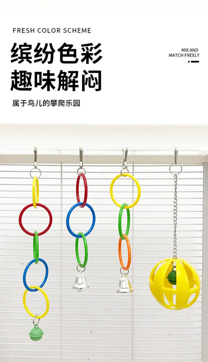 Colorful Ring Birds Use Gnawing Toy