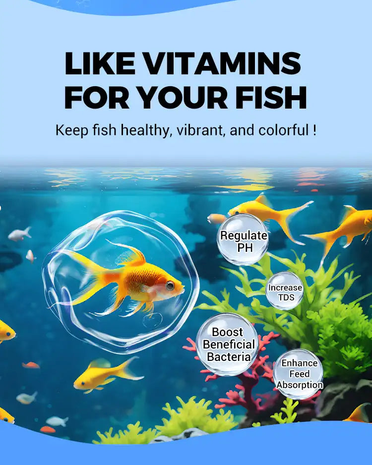 Water Purification Tablets