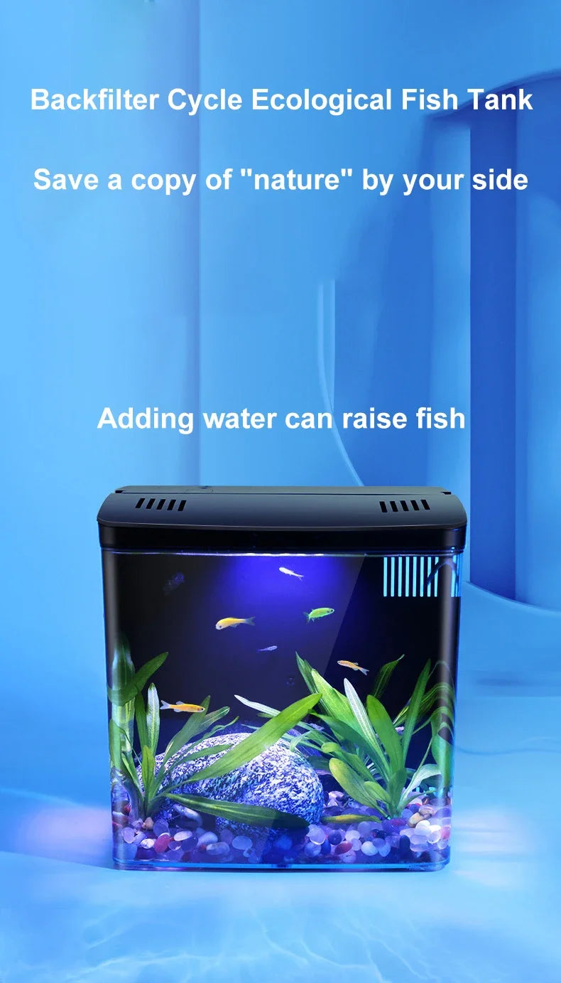 Self circulating household desktop fish tank