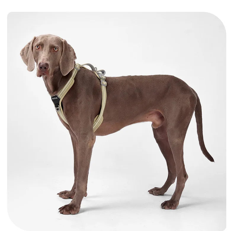 Dog Harness with Dual Handle