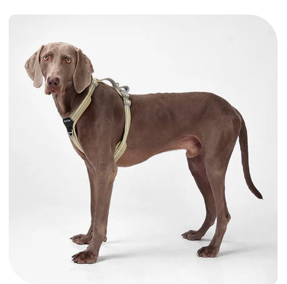 Dog Harness with Dual Handle