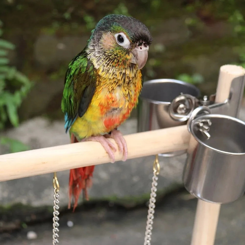 Bird Playground Perch Stand