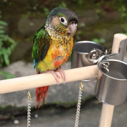 Bird Playground Perch Stand