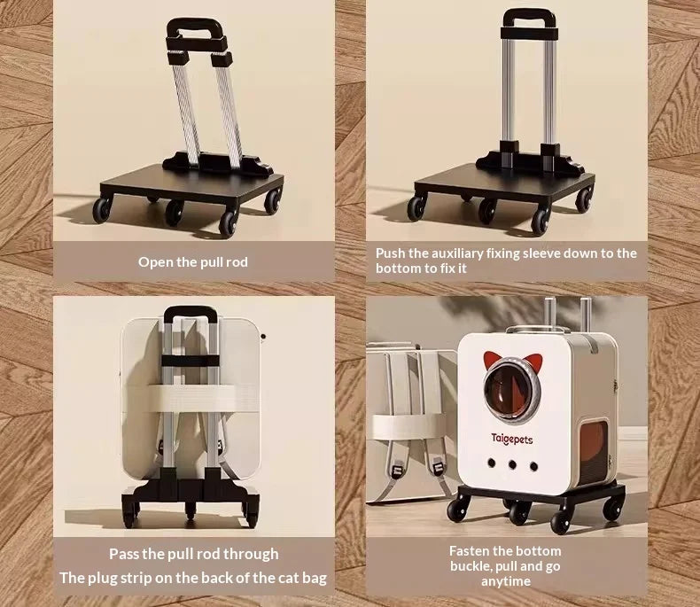 Rolling pet carrier