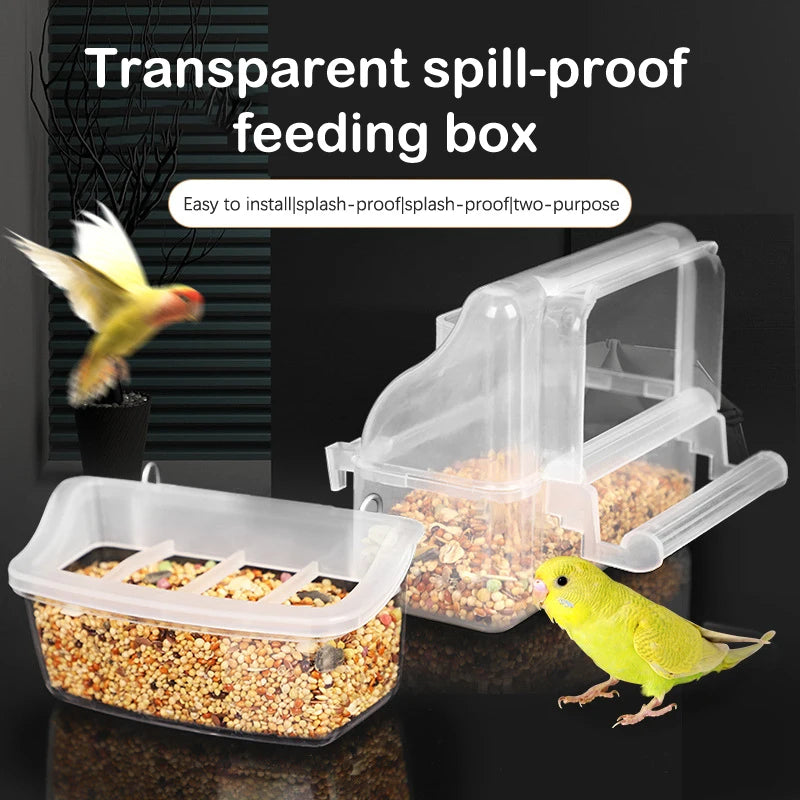 Parrot Feeder Drinker Bird