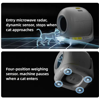 Self Cleaning Cat Litter Box