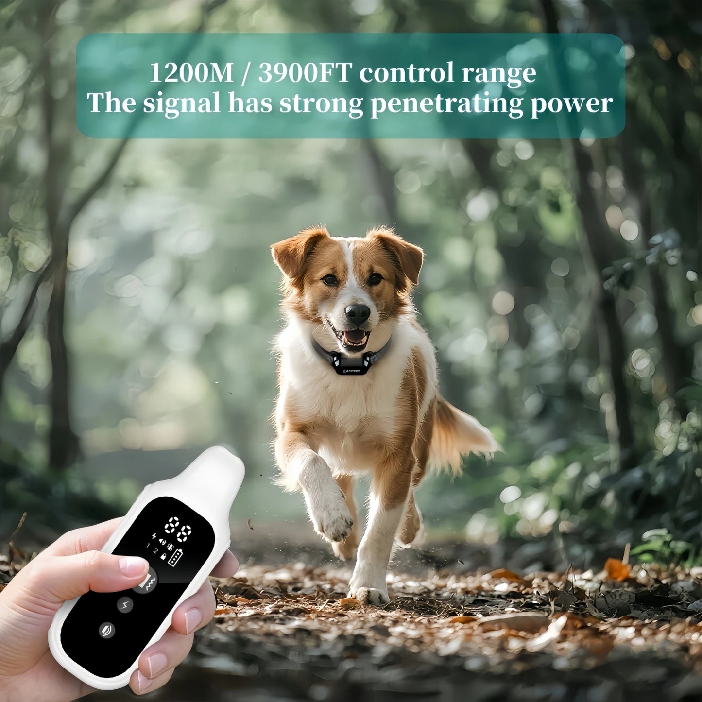 Digital Dog Training Collar