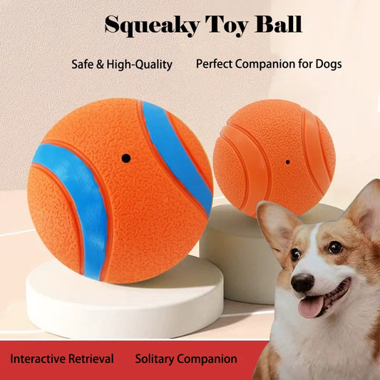 Durable Squeaky Chew Resistant Chasing Toy