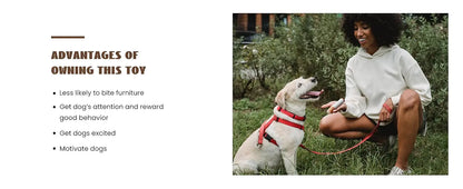 Funny Interactive Plush Dog Toys