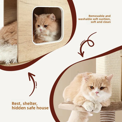 Tree Tower for Big Cats