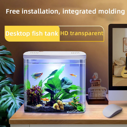 Self circulating household desktop fish tank