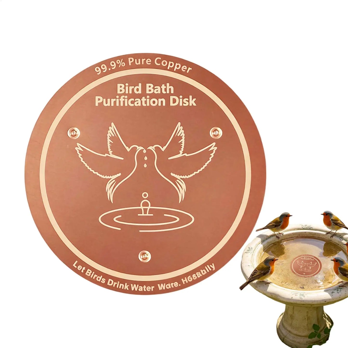 Bird Bath Copper Disk