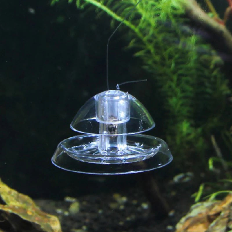 Plant Snail Trap Catcher