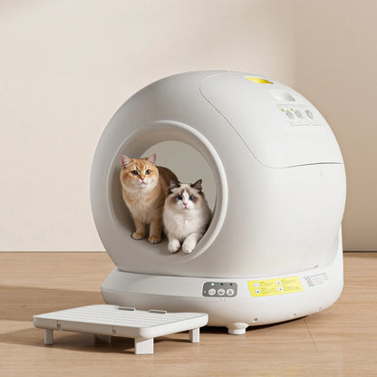 Self Cleaning Cat Litter Box