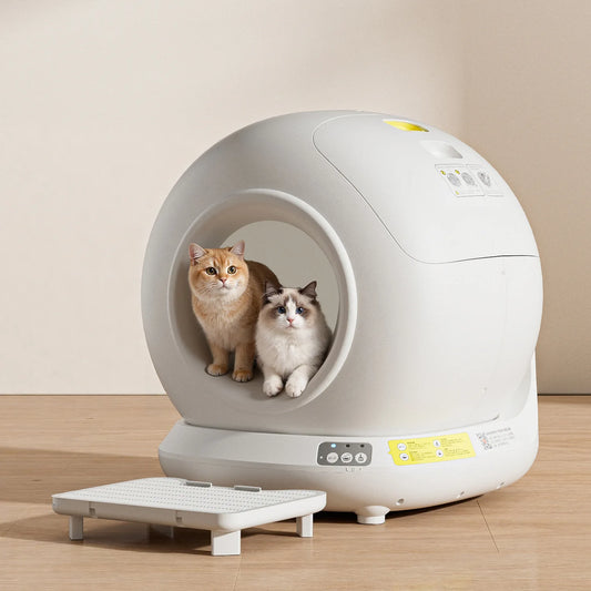 Self Cleaning Cat Litter Box