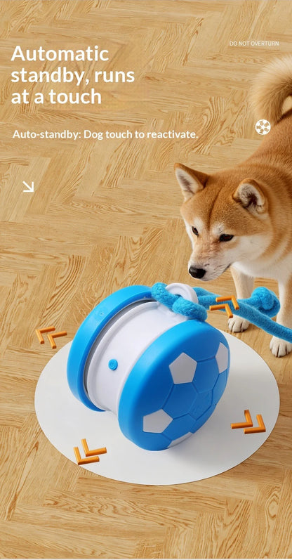 Dual-Wheel Spinning Electric ball