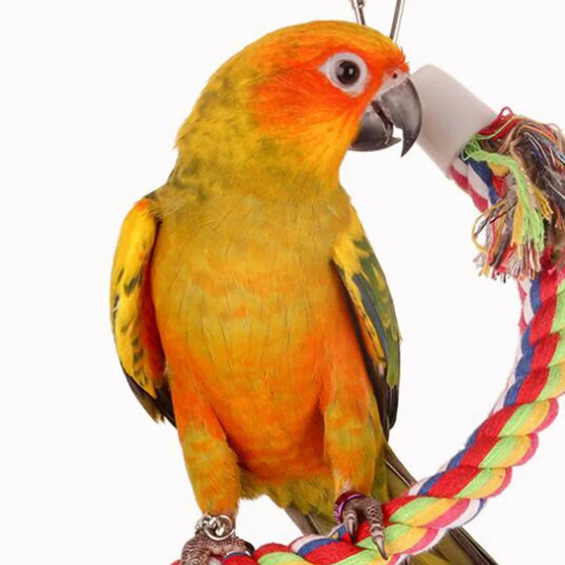 Braided Budgie Chew Bird Cage Cockatiel Toy