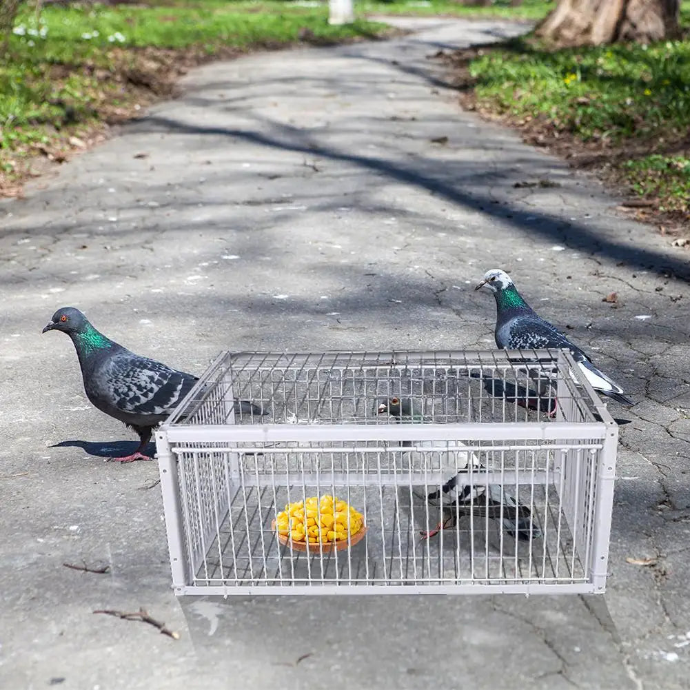 Auto Trap Bird Cage