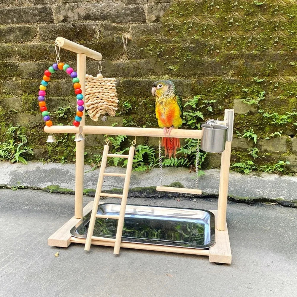 Bird Playground Perch Stand